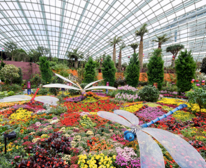 Flower Dome