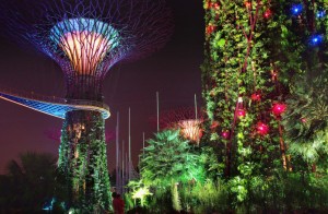 Singapore-Tourist-Spots-Gardens-by-the-Bay-Supertrees-696x457