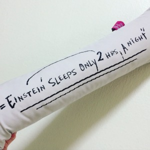 Einstein Sleep Office Pillow